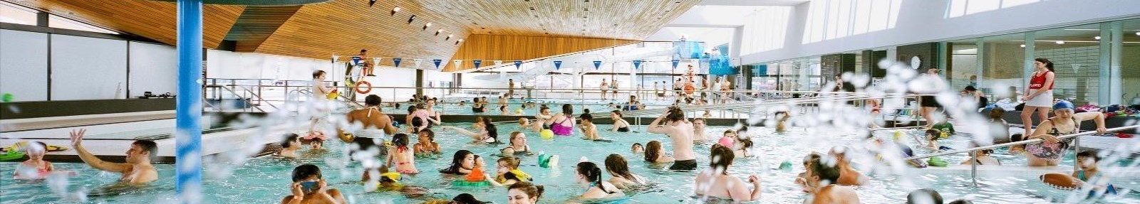 people in swimming pool