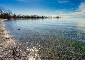 pebble beach with trees in background