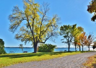 Waterfront trail in park