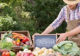 Vegetables on market stall
