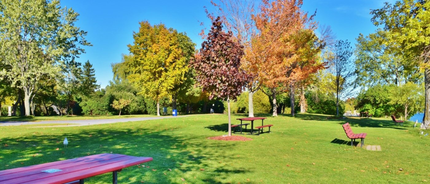 trees in autumn alongside a lake with a path and benches