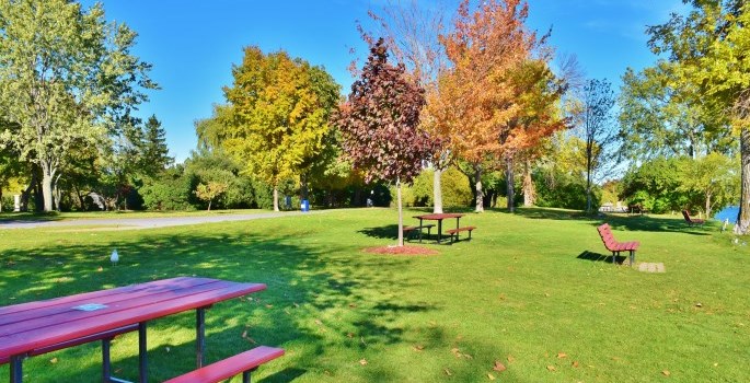 park by a lake