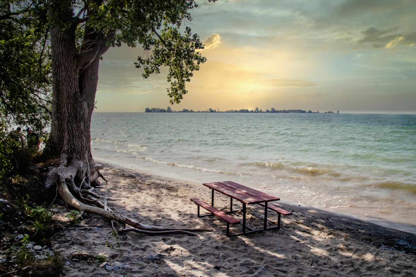 beach at sunset