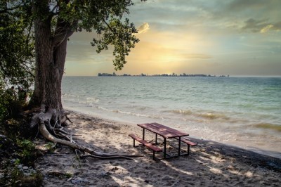 beach at sunset with trees to the side