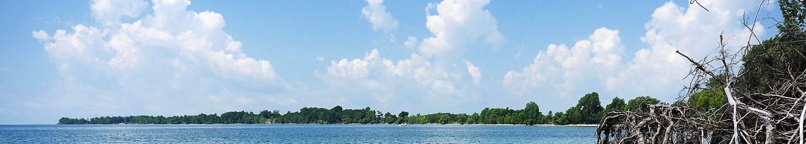 beach and headland