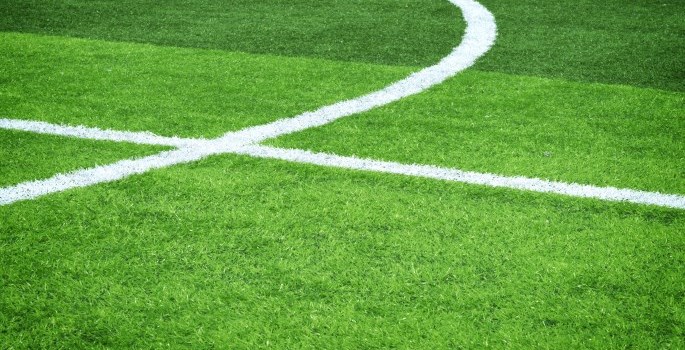 grass with white lines painted on it