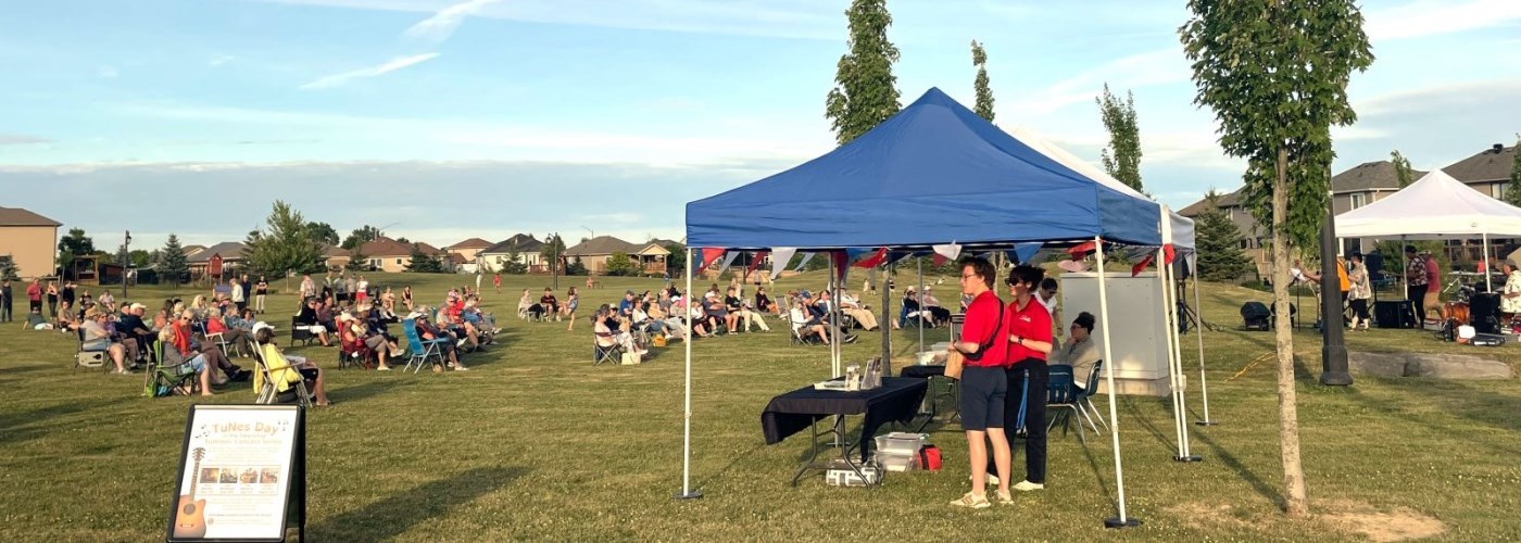 people enjoying music outside