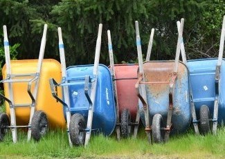 Coloured wheelbarrows in a row