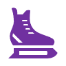 icon of iceskate