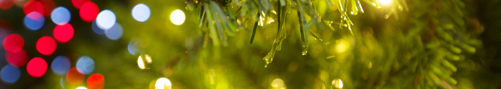 unfocused lights tree