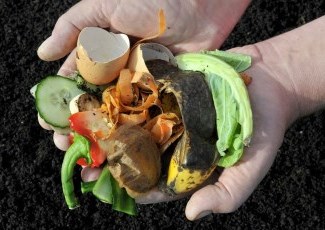 handful of compostable kitchen waste