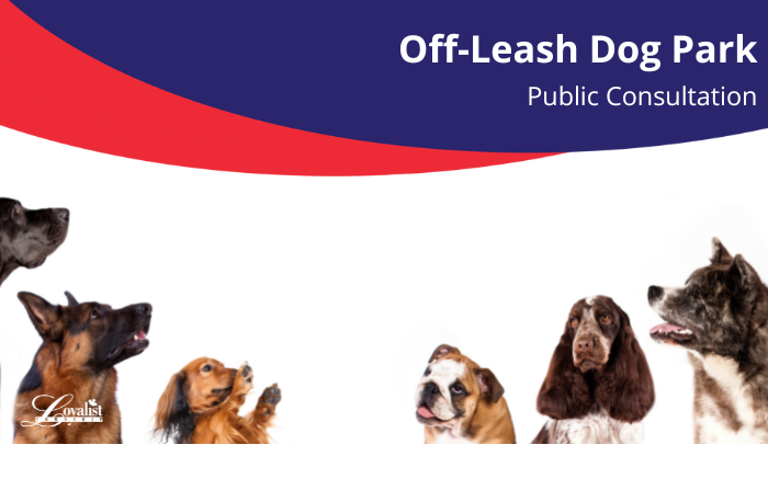 Various dogs. Text overlay reads Off-Leash Dog Park Public Consultation