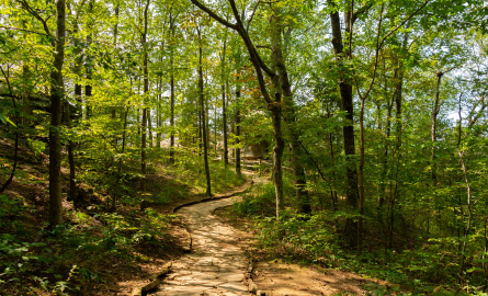 Intercommunity Trails & Urban Sidewalks