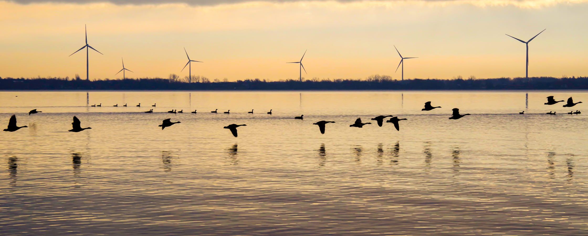 Wind Turbines on the Water