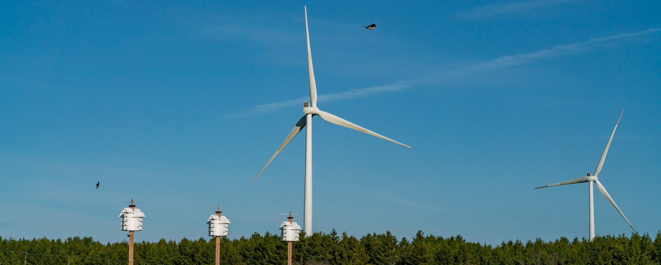 Wind Turbines