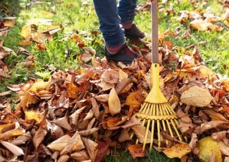 garden leaves being raked