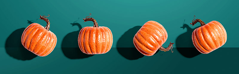 Illustration of several pumpkins lined up in a row
