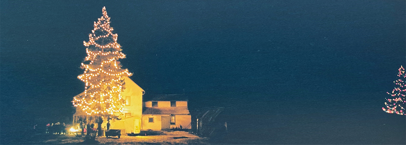 Image of Christmas Ttee lit up at Fairfield-Gutzeit House in 2002