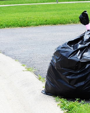 Garbage bag at curb