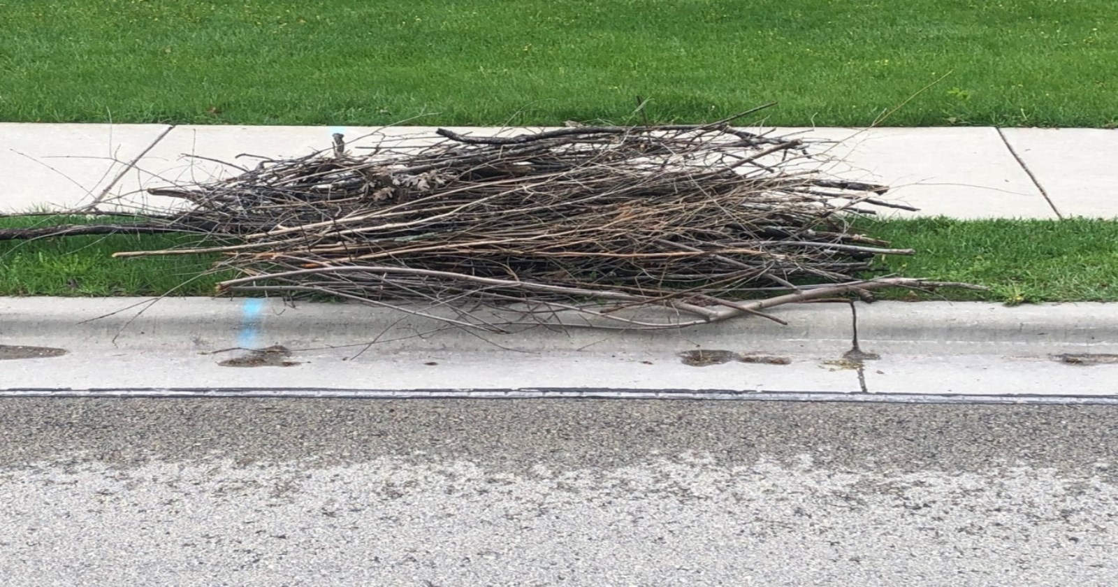 milton township brush pickup milton township brush pickup