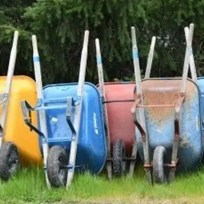 Coloured wheelbarrows in a row