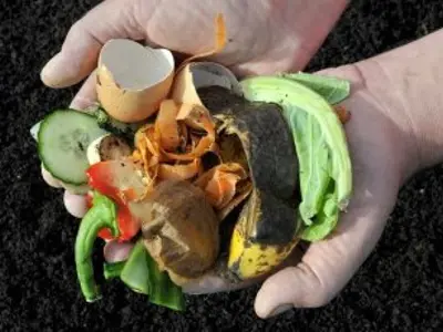 handful of compostable kitchen waste
