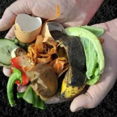 handful of compostable kitchen waste