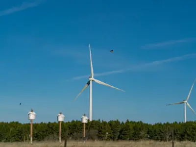 Climate Action News