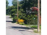 Landscape photo of a road and hydro poll with a hanging basket attached with pink and white flowers.