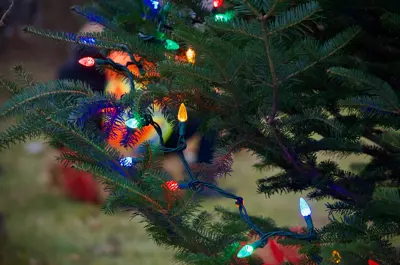 light up the season