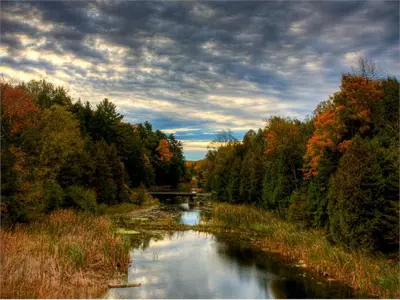 Bridge crossing creek