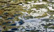 Wastewater