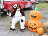 Person Dressed as a Gremlin