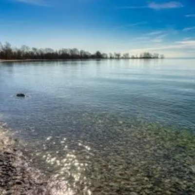 pebble beach with trees in background